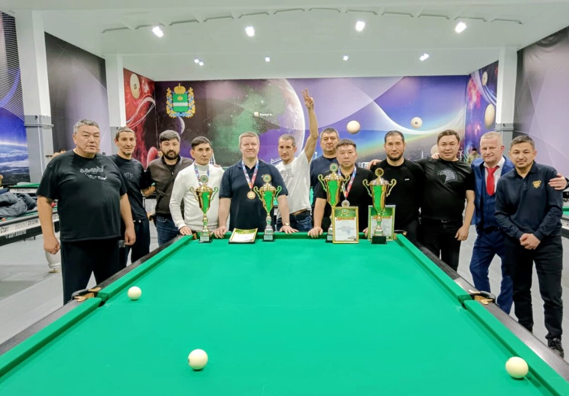 Бильярд,отличная игра - Георгиевич 