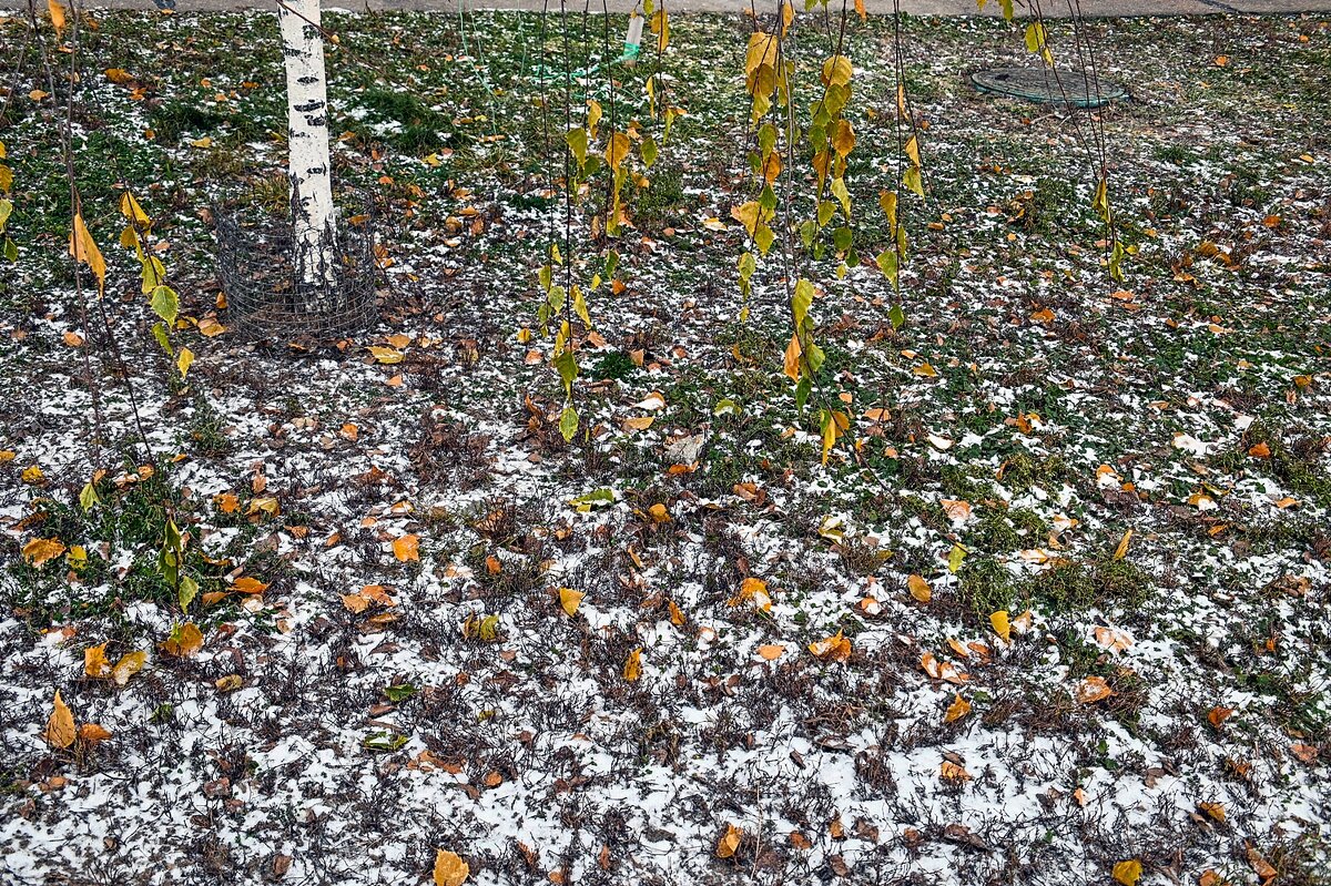 Зима и осень - две подруги - Валерий Иванович