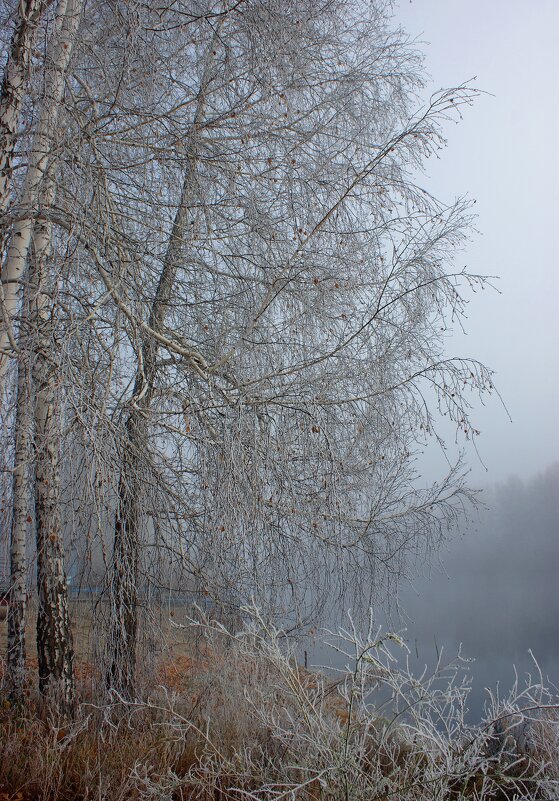 Туманный рассвет на реке Карасук - Галина Нестратова