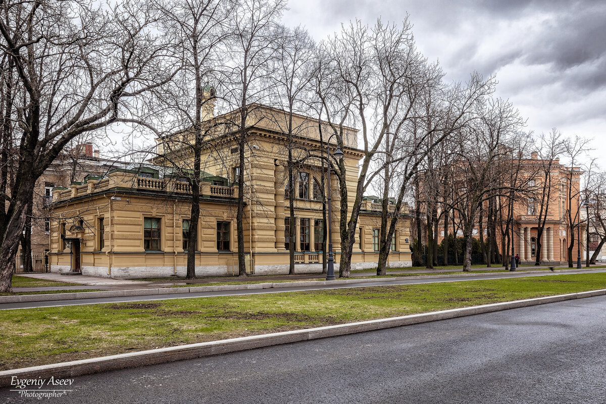 Весна на Кленовой улице - Евгений Весна на Кленовой улице - Евгений