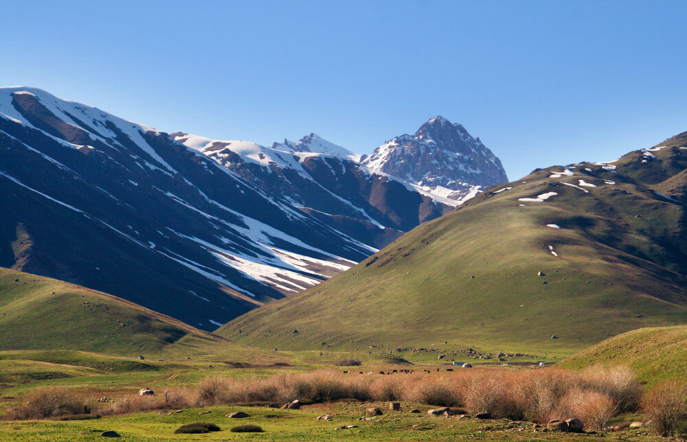 Предгорья - Галина Ильясова Предгорья - Галина Ильясова