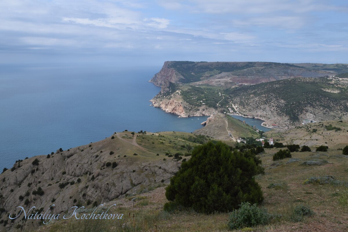 Природа Крыма - Amazing Cosmea Природа Крыма - Amazing Cosmea