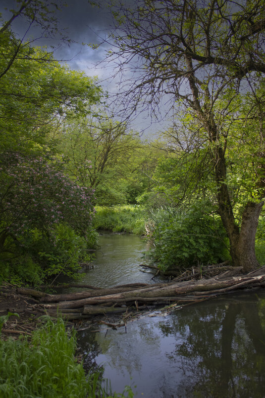 Протока. - Александр. AVG100 --- Протока. - Александр. AVG100 ---