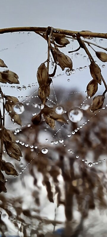 Узоры - Марина 