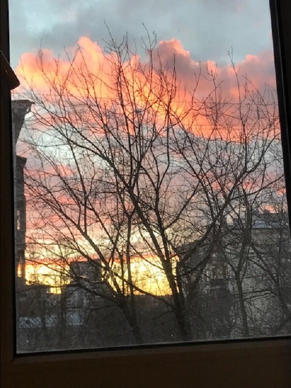 Редкий закат декабря... - Татьяна Юрасова