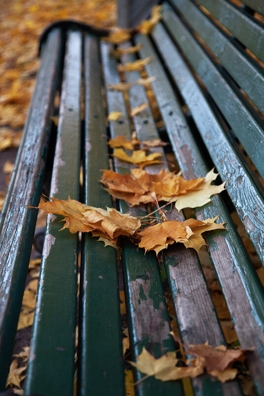 Когда то осень приглашала посидеть... - Лилия * Когда то осень приглашала посидеть... - Лилия *