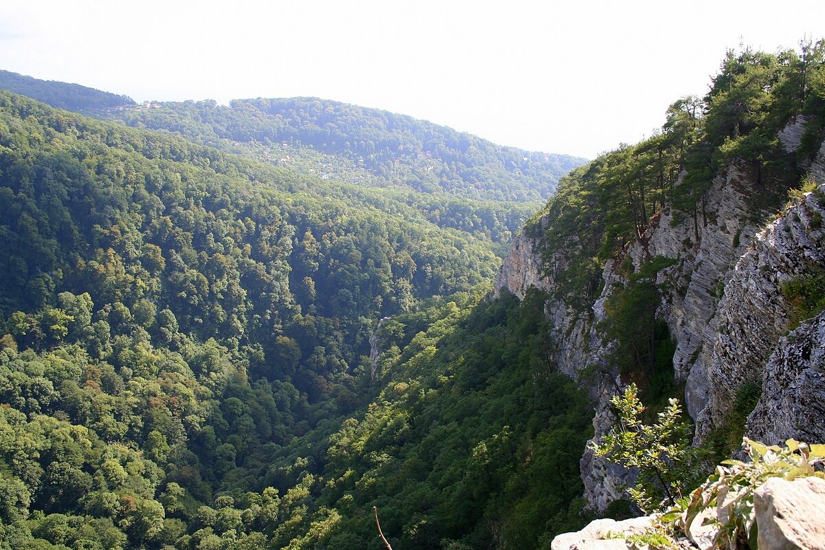 АХШТЫРСКОЕ УЩЕЛЬЕ СОЧИ - Tata Wolf АХШТЫРСКОЕ УЩЕЛЬЕ СОЧИ - Tata Wolf