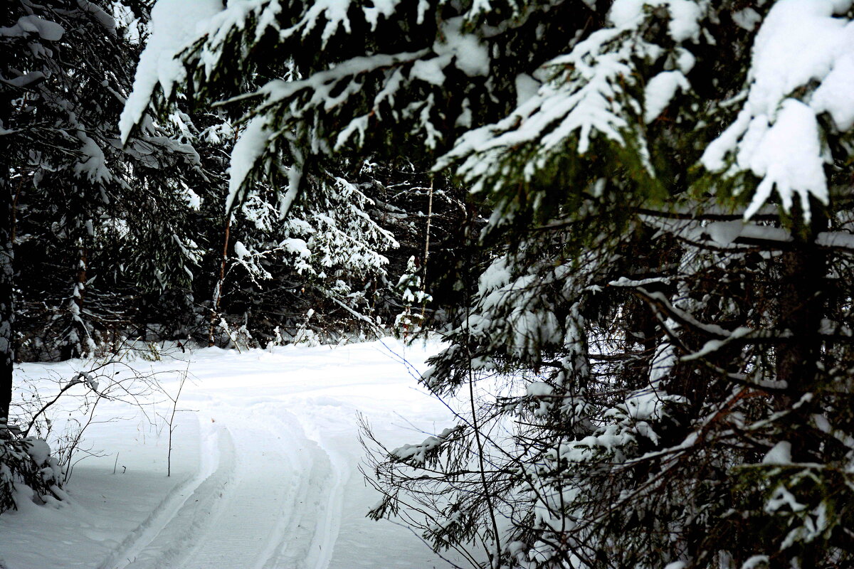 *** - Александр 