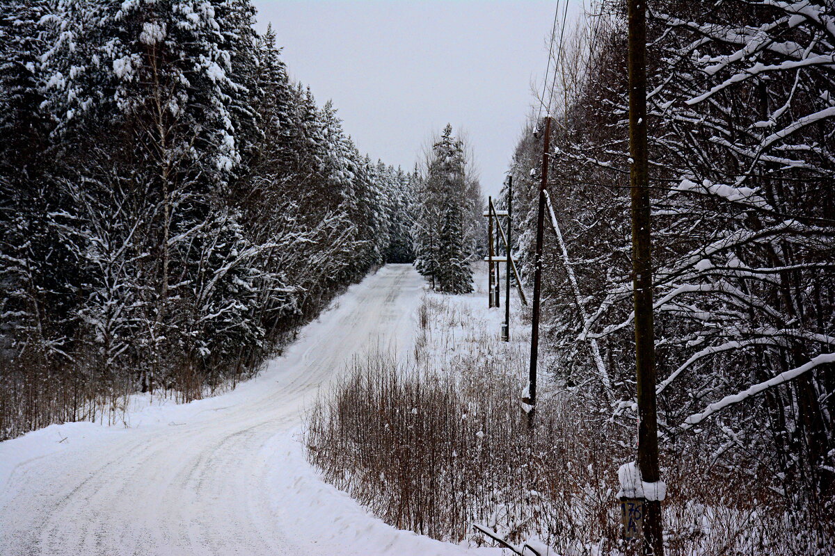 зима - Александр 