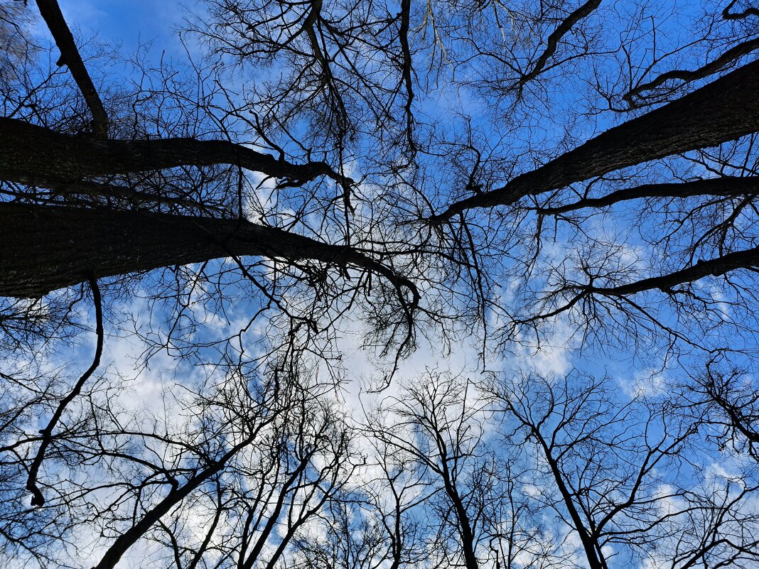 Небо - Рустам Кашапов