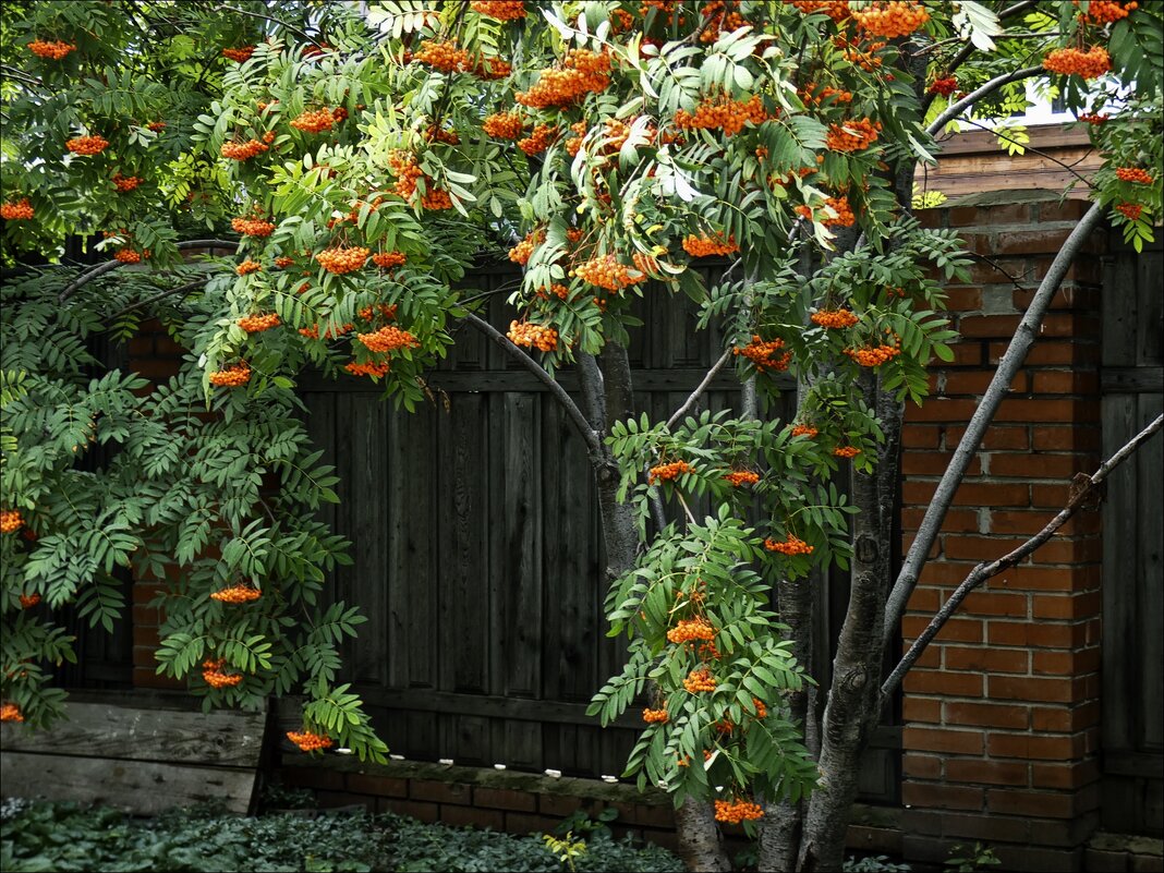 Воспоминания - Валентина *