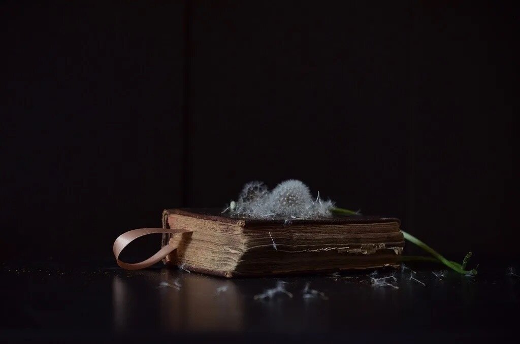 Старые ,седые одуванчики - Лена -