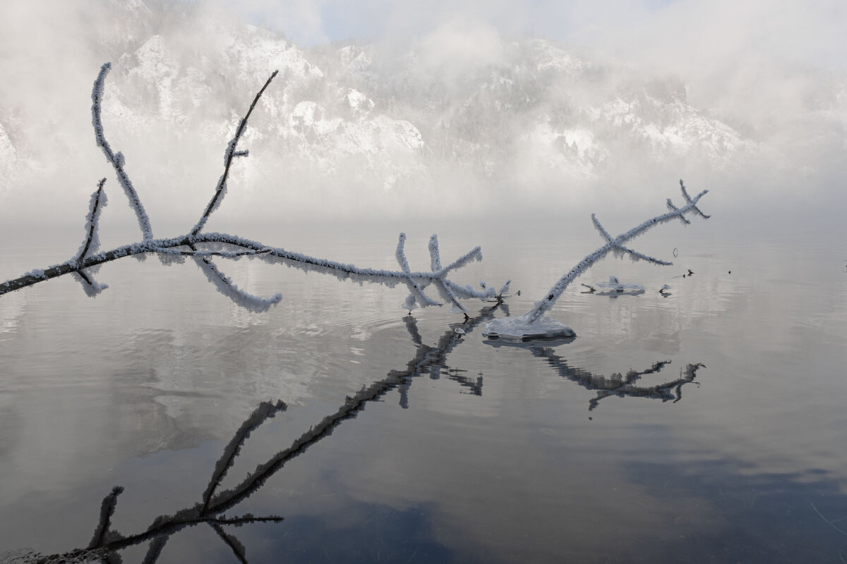 Природа дивногорья - Сергей Герасимов
