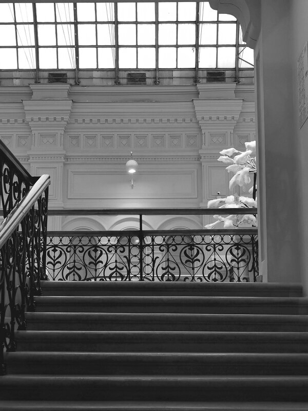 Черно-белая фотография. ГУМ. - Любимова Ольга Черно-белая фотография. ГУМ. - Любимова Ольга