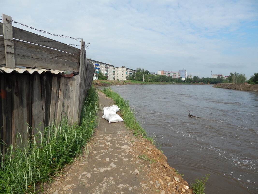 Наводнение 2023 года - Екатерина Панова