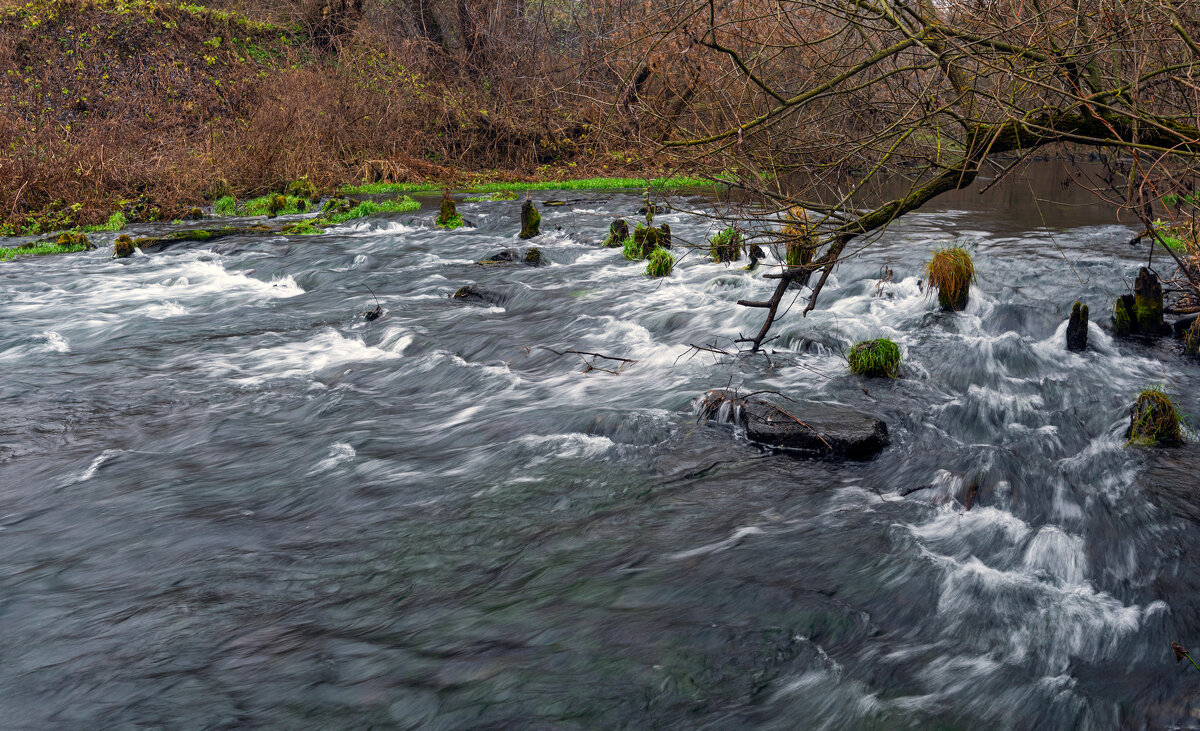 последний день ноября - Виталий Емельянов последний день ноября - Виталий Емельянов