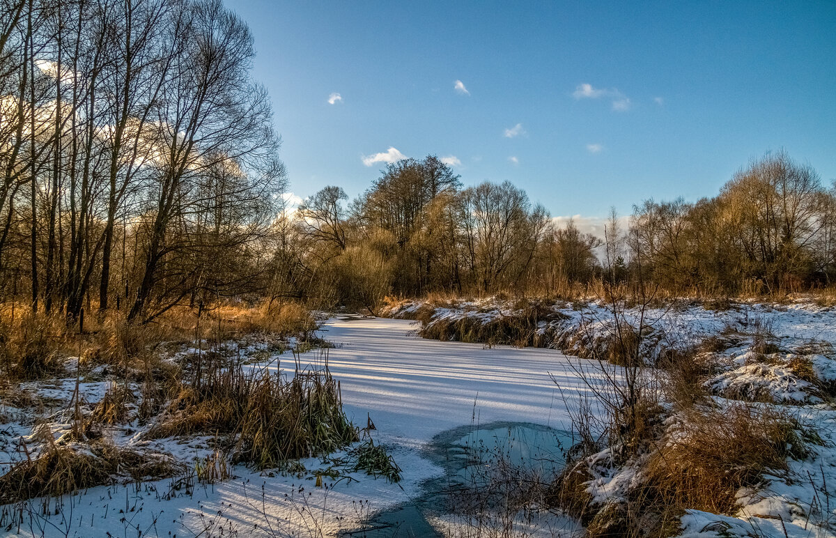 Подмосковный декабрь 8 - Андрей Дворников