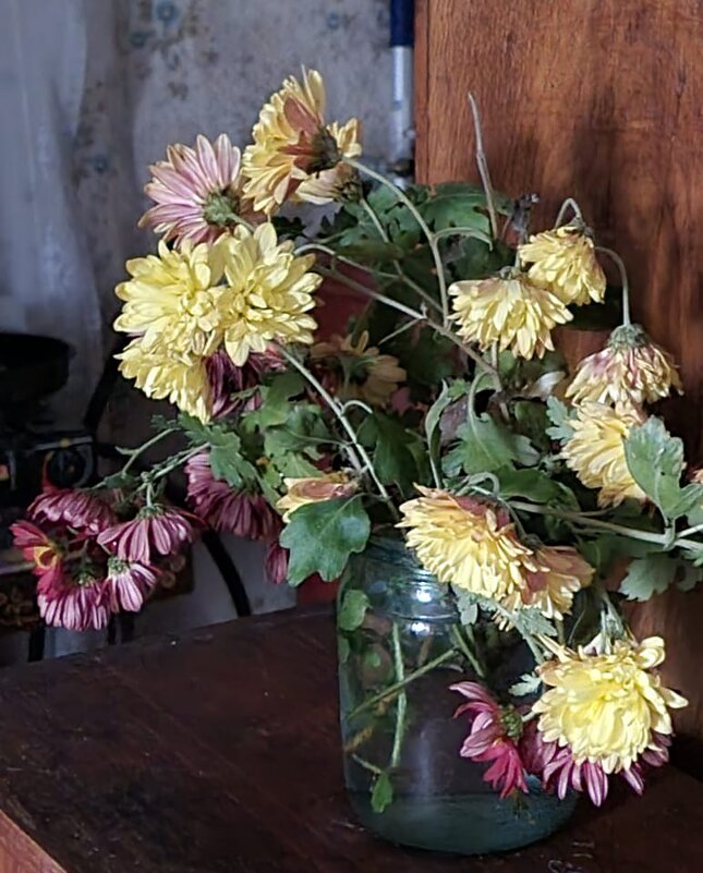 Последние хризантемы - Наталья 