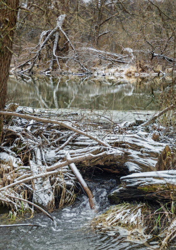 Панорама реки и коряг - sorovey Sol Панорама реки и коряг - sorovey Sol