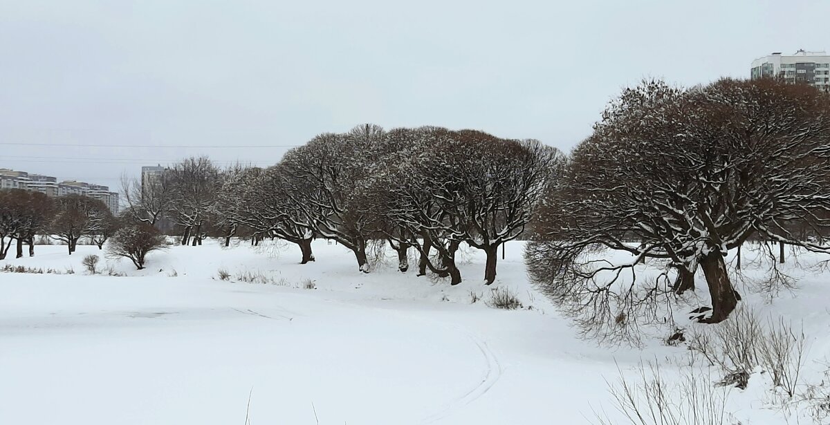 Зима 2025. Январь - Наталья Герасимова Зима 2025. Январь - Наталья Герасимова