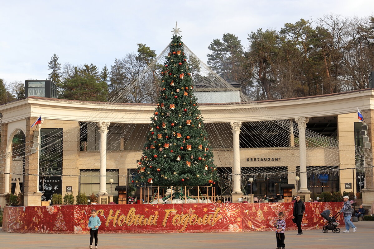 Кисловодск. Новогодняя ёлка. - Александр Николаев Кисловодск. Новогодняя ёлка. - Александр Николаев