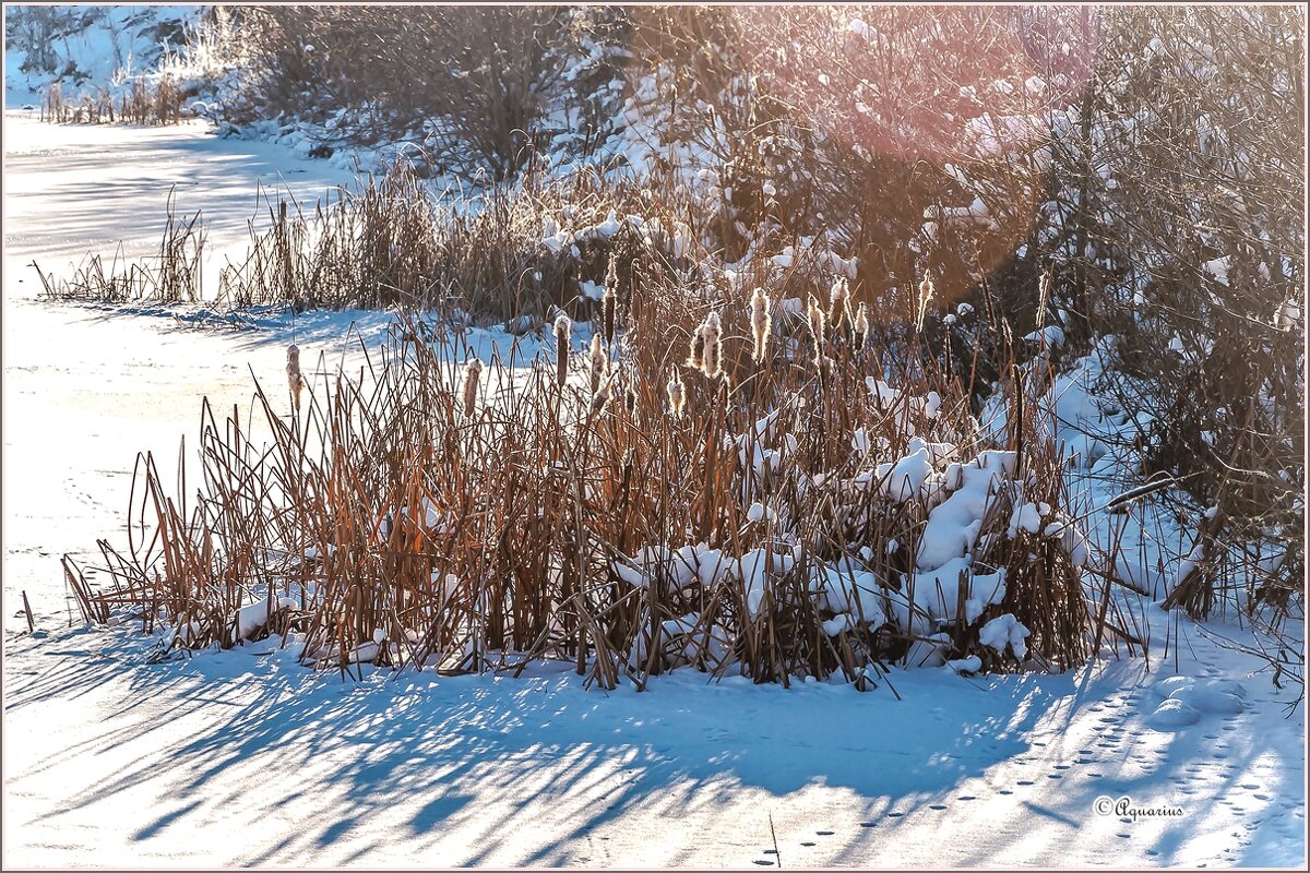 Про ноябрь... - Aquarius - Сергей