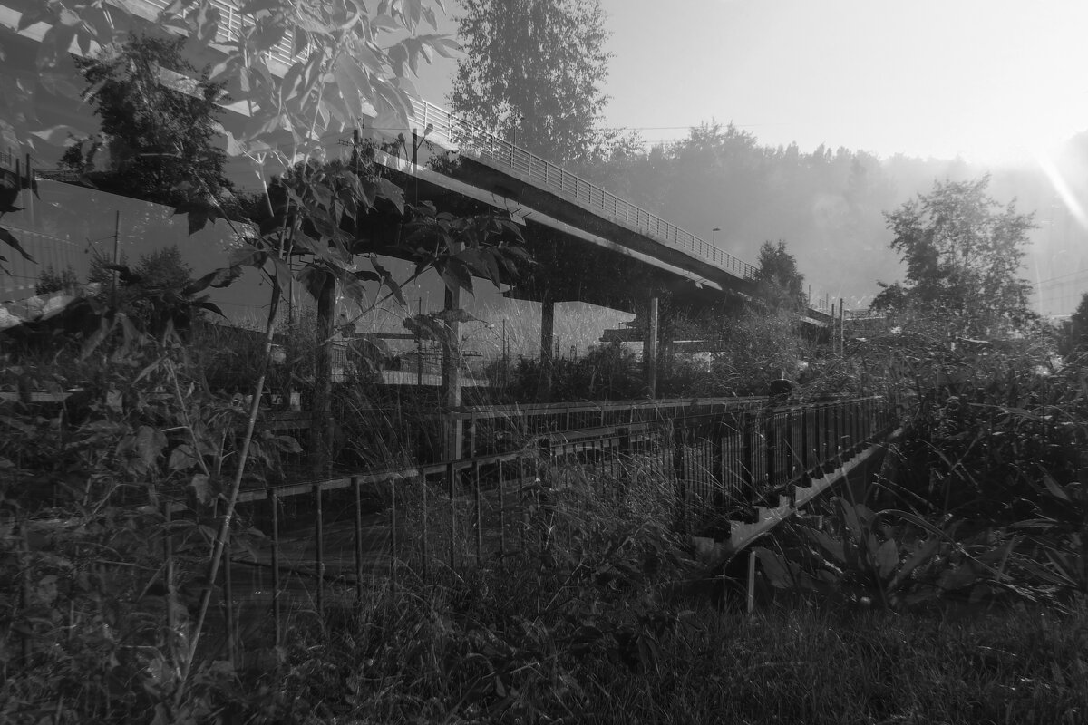 *** - Сергей Сергеев