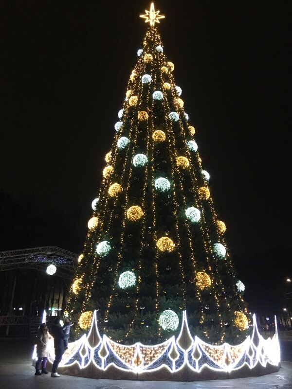 Великие Луки. С наступающим Новым годом 2026! Успехов... - Владимир Павлов