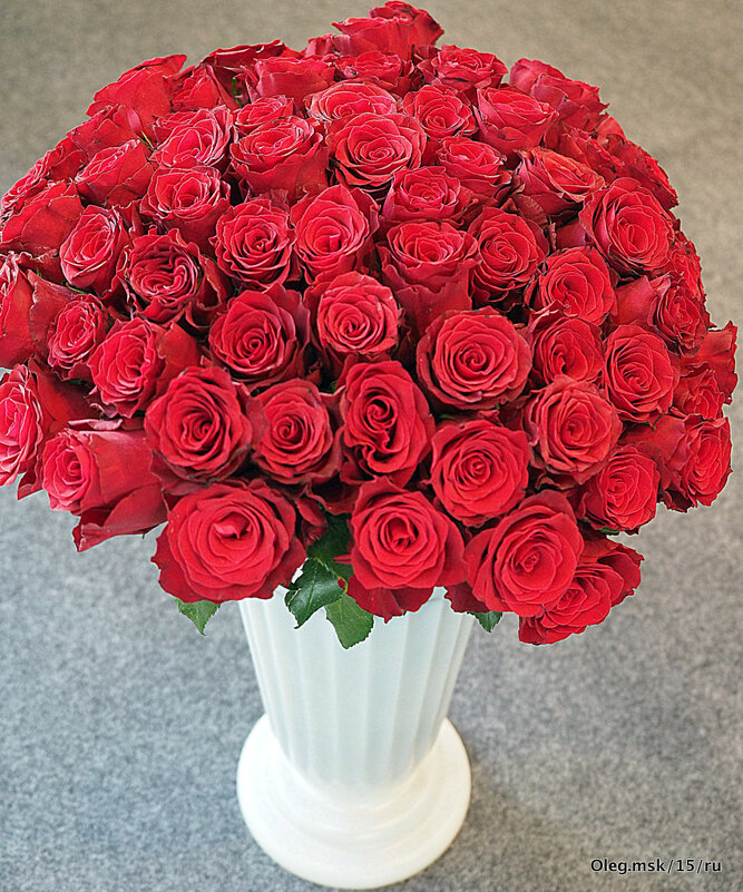 они на радость нам даны - Олег Лукьянов они на радость нам даны - Олег Лукьянов