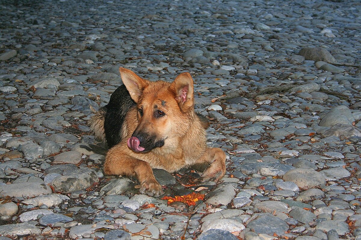 Каньон реки Мзымта Сочи - Tata Wolf Каньон реки Мзымта Сочи - Tata Wolf