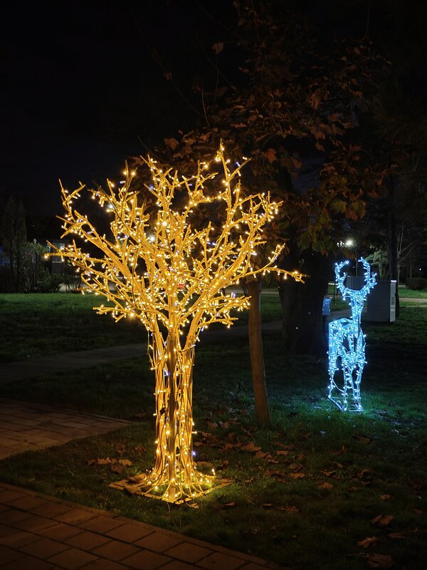 Золотое деревце сияет новогодними огоньками...в парке... - tatyana 
