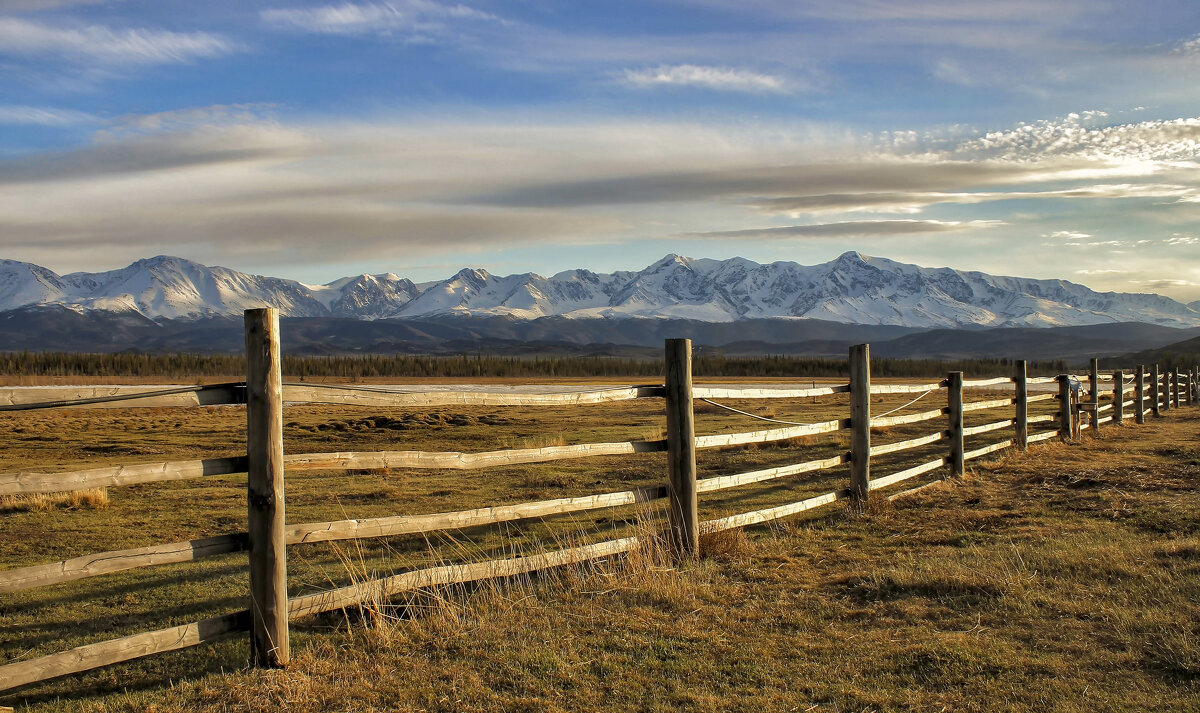 На закате весной - елена беликова
