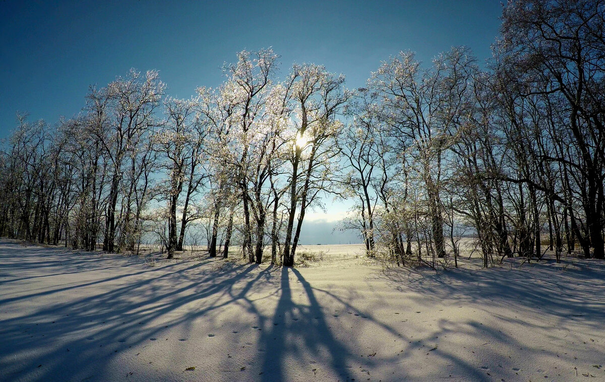 Зима. - Александр. AVG100 --- Зима. - Александр. AVG100 ---