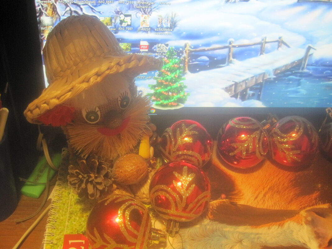 **** - Елена Семигина