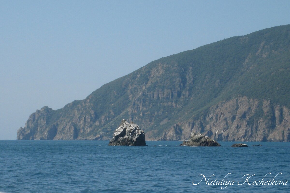 Природа Крыма - Amazing Cosmea