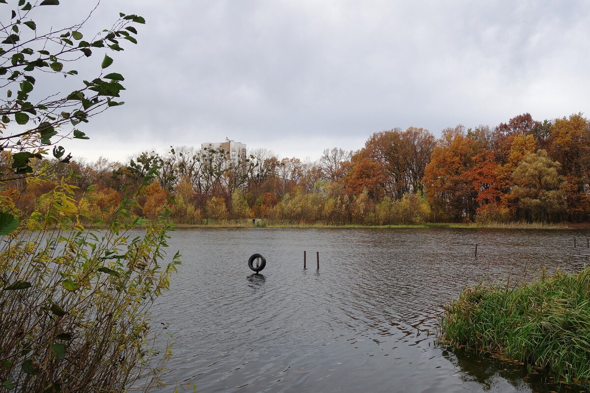 Озеро Лесное, Калининград - Рита Симонова Озеро Лесное, Калининград - Рита Симонова