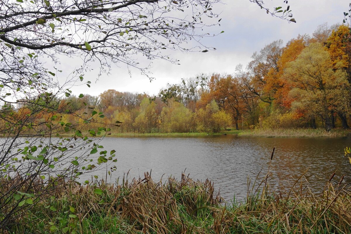 Озеро Лесное, Калининград - Рита Симонова Озеро Лесное, Калининград - Рита Симонова