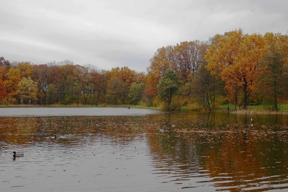 Озеро Лесное, Калининград - Рита Симонова Озеро Лесное, Калининград - Рита Симонова