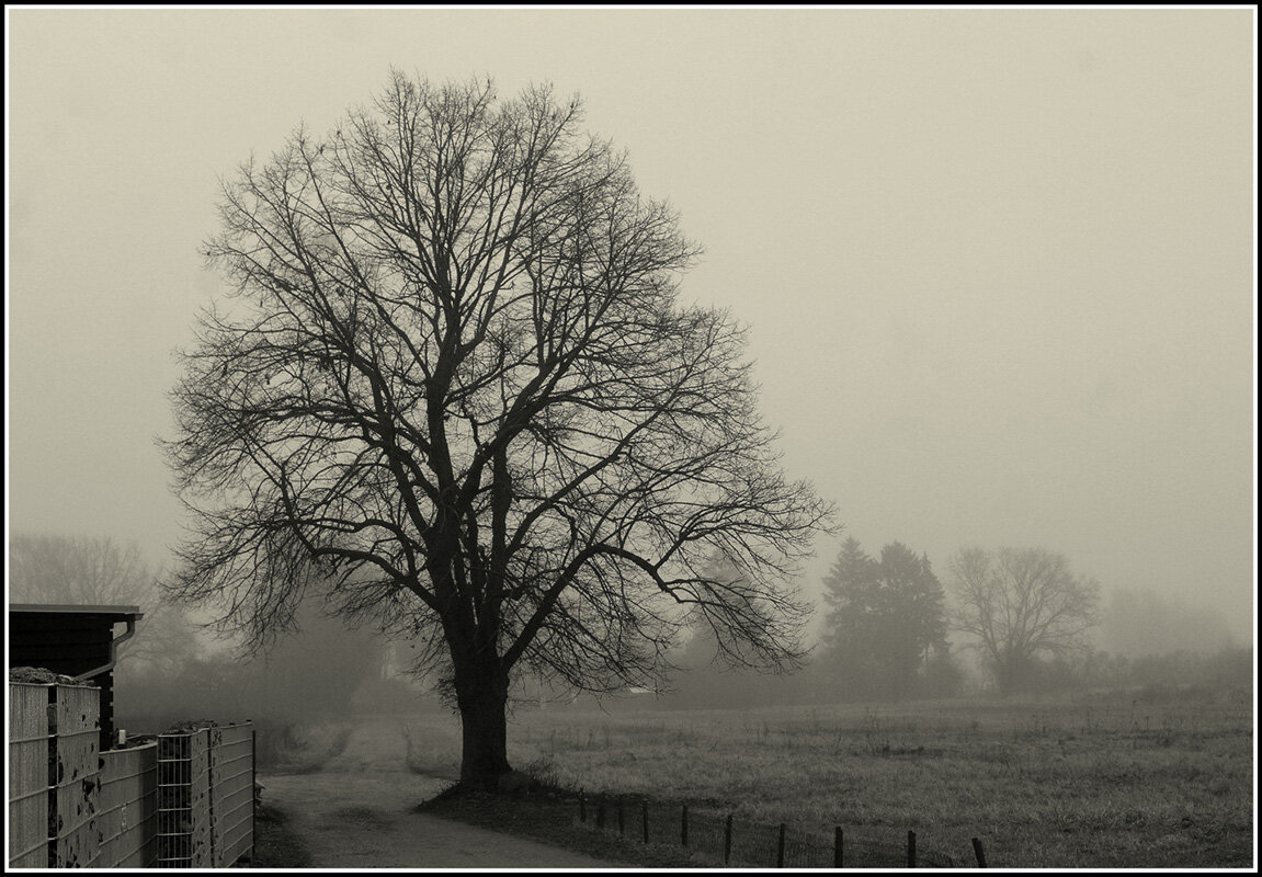 Такая зима - Aleksandr Gal