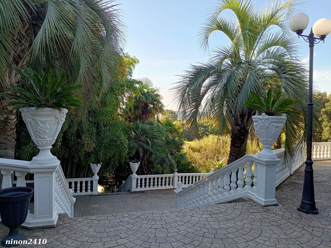 Адлер. Дендропарк "Южные культуры" - Нина Бутко Адлер. Дендропарк "Южные культуры" - Нина Бутко