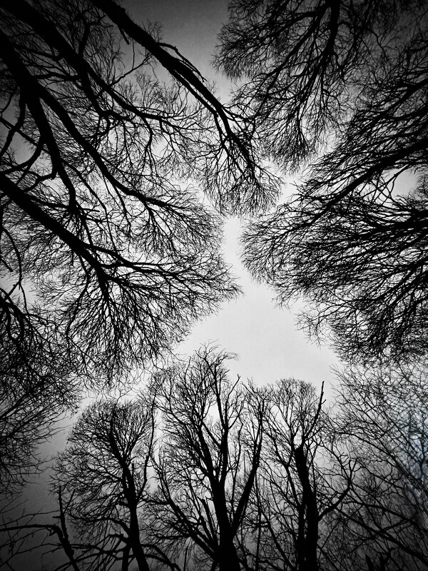 Над головой… - Любовь 