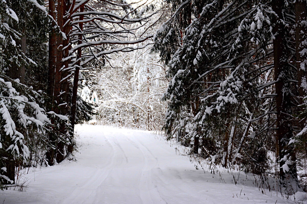 *** - Александр 
