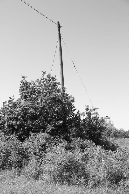 Фотография - Денис Безногов