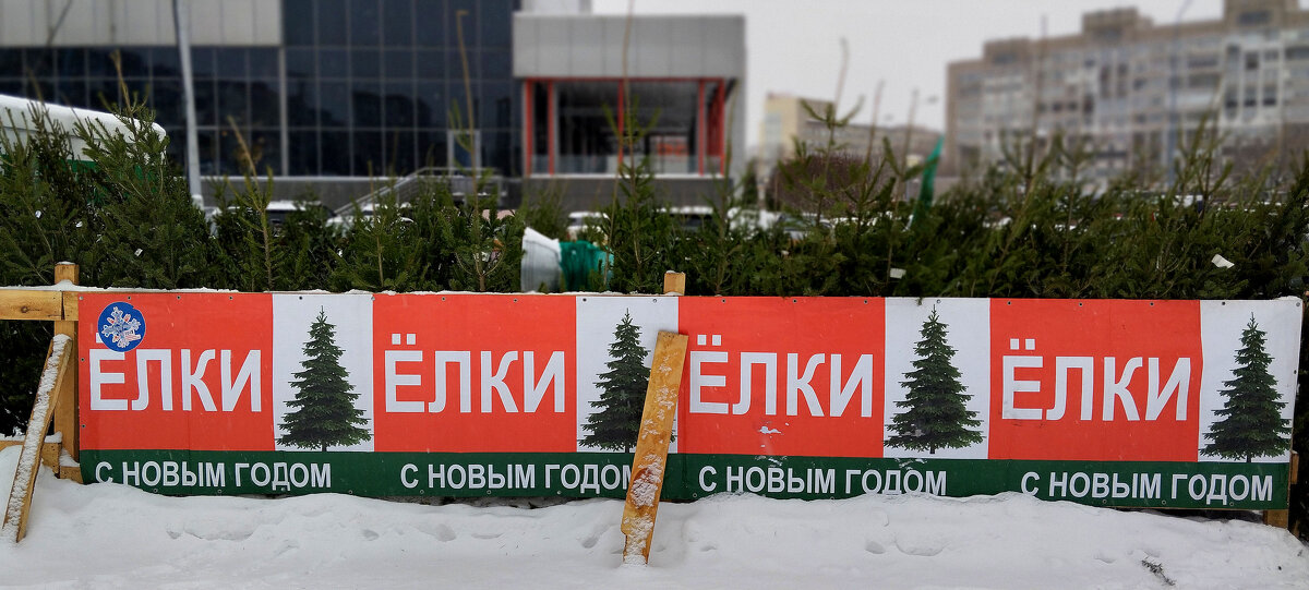 Ёлки!!! - Радмир Арсеньев