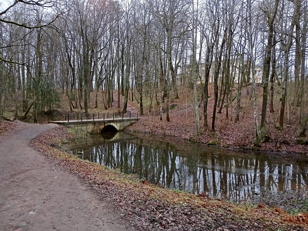 Декабрьские отражения - Лия ☼ Декабрьские отражения - Лия ☼