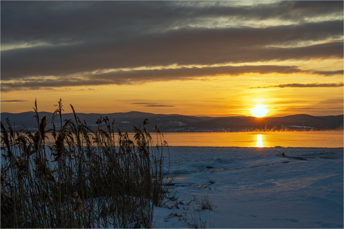 **** - Алексей Мезенцев