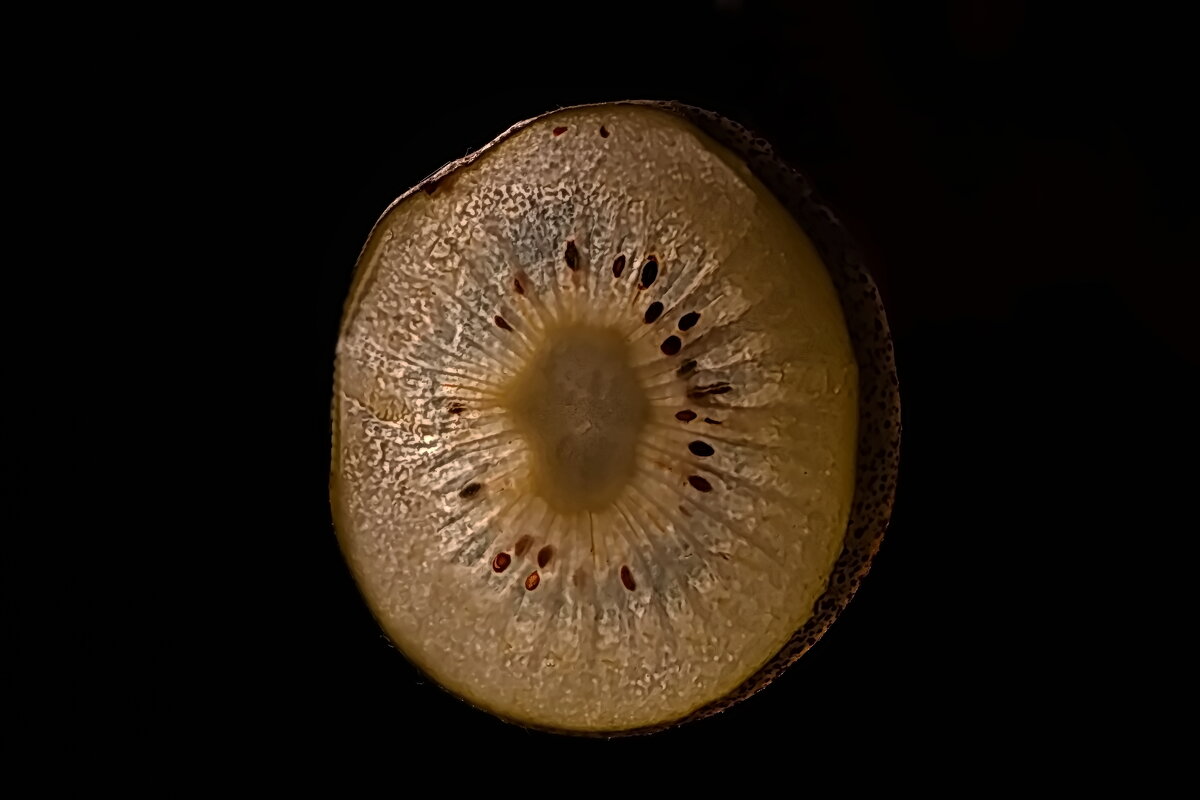 Киви - Тамара Вебер