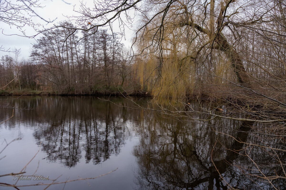Январское безмолвие... - Николай Гирш Январское безмолвие... - Николай Гирш