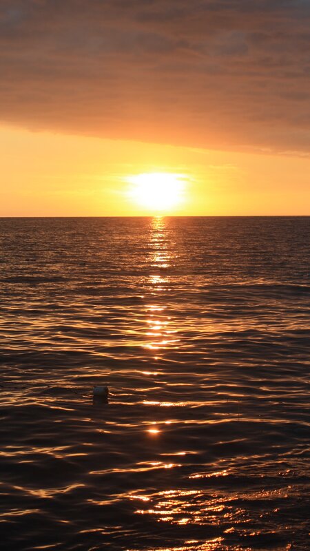 Вот и кончился отпуск. - Жанна 