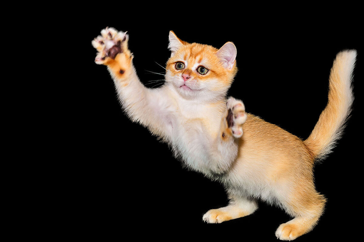 Сейчас поймаю - Римма Волченко